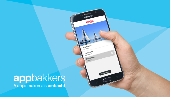 projecten-700×400 rondal